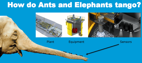 ElephantAndAnts